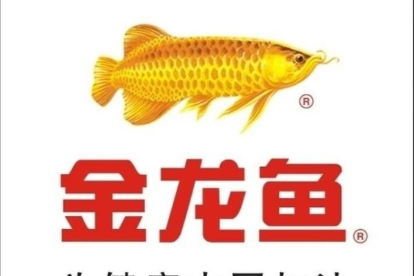 梦见鱼，财富与好运的象征-红迪亚