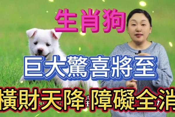 梦境狗语，预示与贵人相遇及好运降临-红迪亚