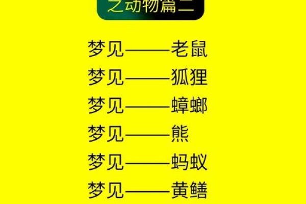 梦见耗子的预兆与解读，梦中的耗子象征意义解析，解析梦境中老鼠的多重含义和预示的未来情况。-红迪亚