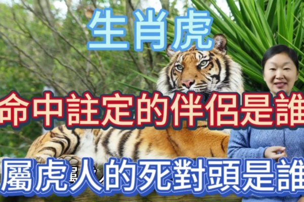 母老虎，生肖虎的象征与解析-红迪亚