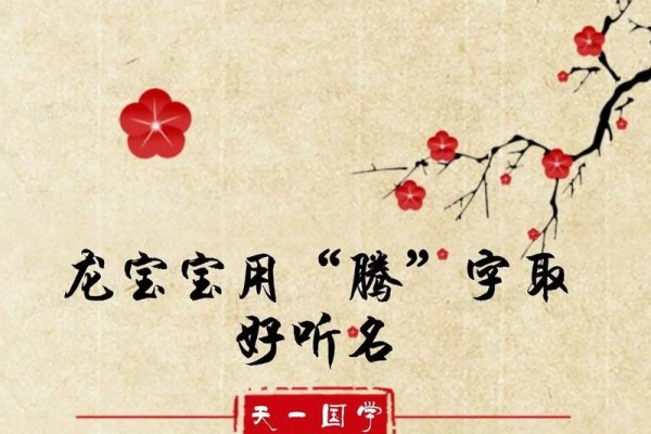 美名腾起名，名字解析与推荐-红迪亚