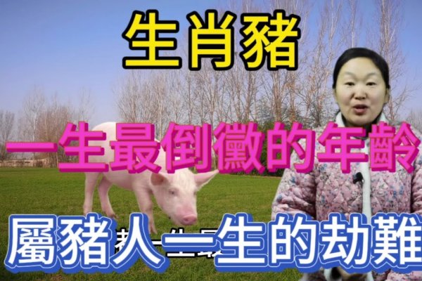 迷惑不解的生肖是猪。-红迪亚