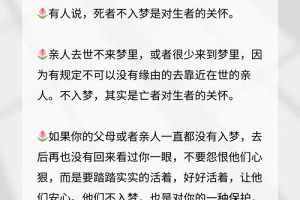 梦里的重逢，与逝去的亲人对话-红迪亚