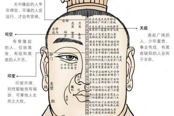 面相解读，看三停、五官判断性格与运势，三停划分解析，上庭代表早年运，中庭掌财运，下庭预示晚年运。面部轮廓如脸型、额头等揭示个性特点。，细节观察，通过面颊纹理、肌肉活力洞察健康与智慧程度；眼神交流评估气质类型。，五官寓意详解，眼睛圆大明亮者开朗聪明易成功；鼻子高挺象征富贵命等。结合五行学说分析命运走势。，曾国藩识人术分享经验观察的实用技巧如何通过耳眉眼鼻口等部位快速判断人物性格及吉凶祸福走向。-红迪亚