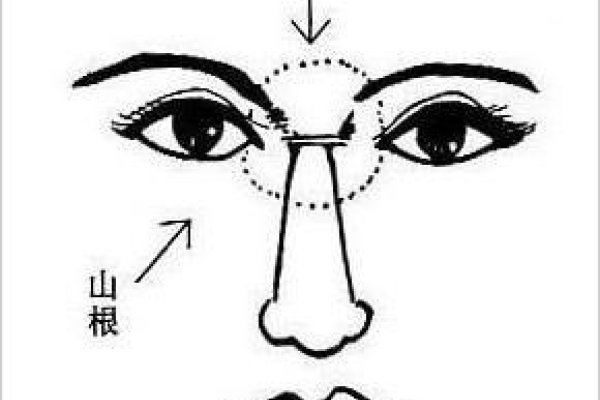 面相解析，洞悉命运与富贵之道，建议，揭秘面纹奥秘，解读人生运势-红迪亚