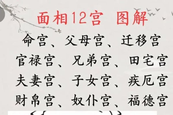 面相看命运-红迪亚