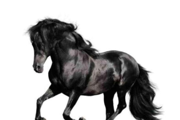 卖犊买刀生肖马-红迪亚