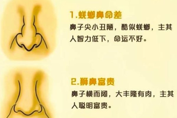 面相学解读鼻子，鼻型预示财运与性格特征-红迪亚