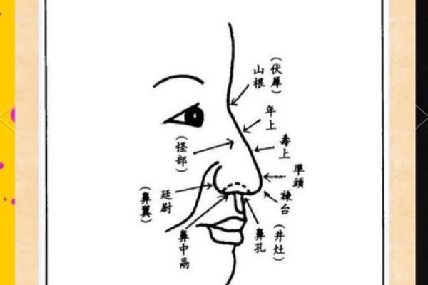 面相学图解系列，女人眼睛与鼻相详解-红迪亚