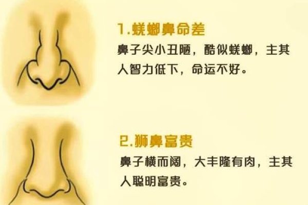 面相鼻子大解析，，鼻头大而口小的人，命运与孩子缘分及配偶关系需观察整体五官布局。若脸部肉薄则可能婚姻坎坷或难以找到理想的伴侣；反之，如果鼻头宽大但无肉、露骨或有挺拔之势，预示刑克配偶和子女，财运易受影响。从健康角度看，这种特征的女性性格明朗开朗且有较强的决断力。此外，这类女性家庭责任心不强，可能在情感上较为孤单并追求浪漫主义精神。建议综合考虑其他因素来评估其命运走势。-红迪亚