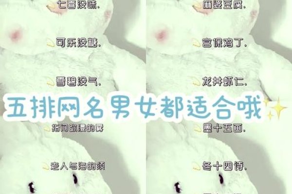 梦幻游戏昵称集锦-红迪亚