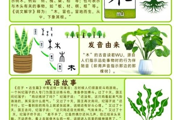 木字旁的汉字及其相关解析探索木的世界——带木偏旁的字汇总与解读-红迪亚