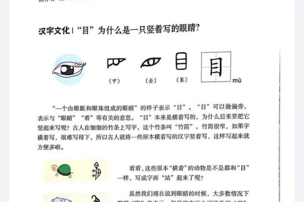 目字旁汉字简介，常见如睡、眼等，涵盖视觉器官及相关动作。-红迪亚