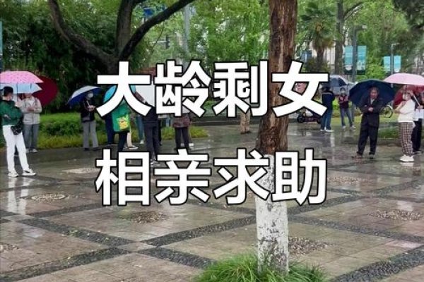 宁波靠谱相亲方式推荐-红迪亚