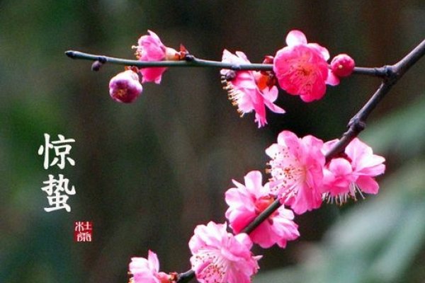 年节假日日历表 立春节气，2月4日、农历正月十四 惊蛰节气，3月6日、农历二月十五 小雪节令，11月22日 大寒时间，冬至日期，2023年12月22日-红迪亚