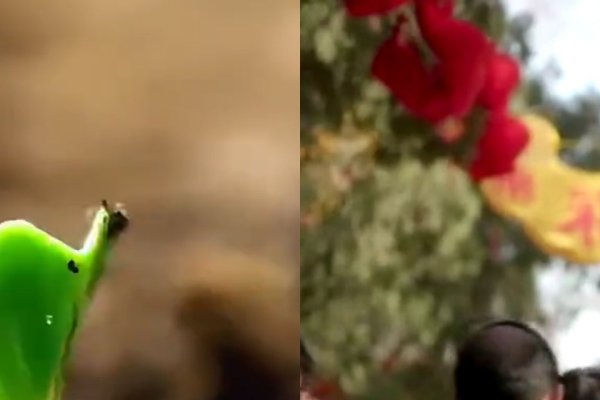 年立春躲春正确方法与技巧-红迪亚