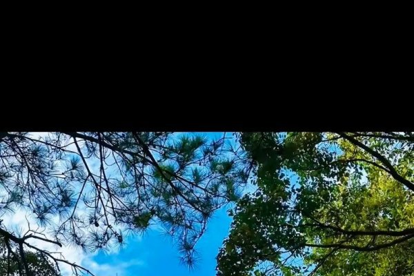 农历6月19日，观音菩萨成道纪念日-红迪亚