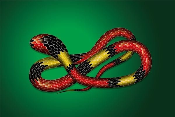 女人梦见蛇，财富、好运与健康预兆解析-红迪亚