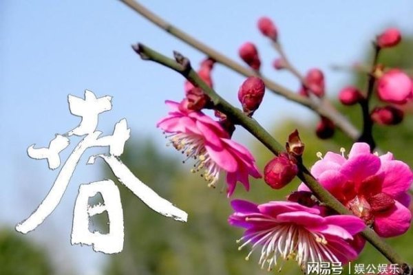 年双春时节-红迪亚