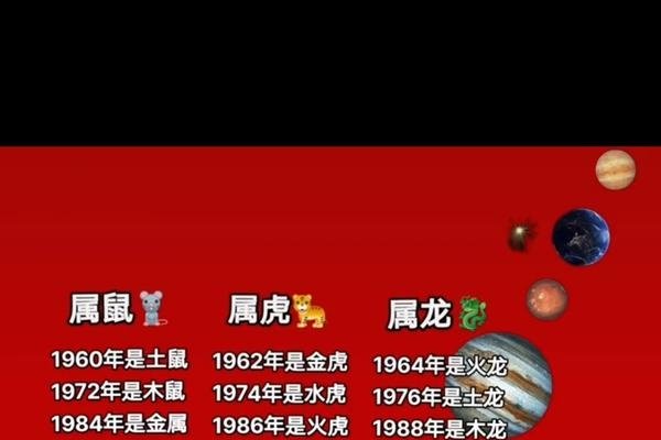 年十二生肖属相金木水火土对照表-红迪亚