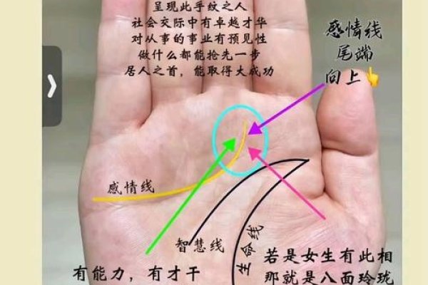 女生感情线图解，复杂与单纯并存的情感轨迹-红迪亚