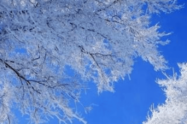 年数九时间表-红迪亚