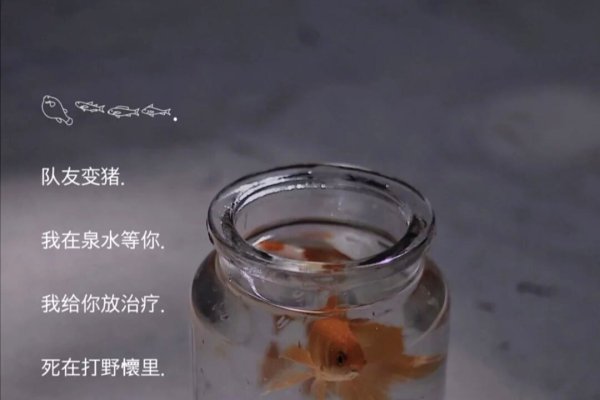 女生可爱网名精选-红迪亚