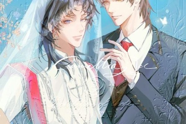 宁少辰与沈陪一的命运交织-红迪亚