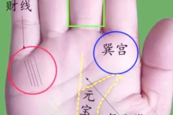女性财运纹手相解读-红迪亚