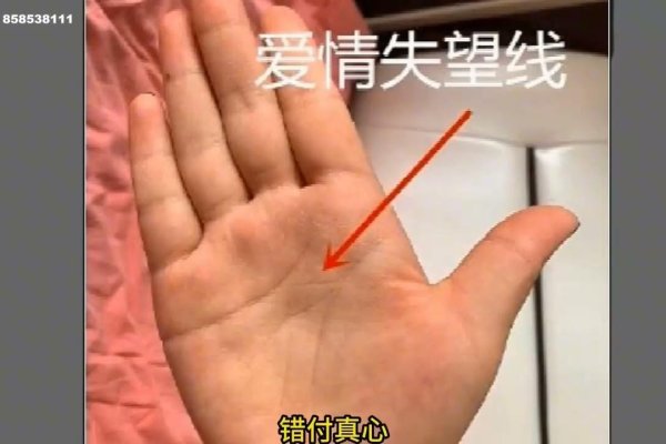女性假断掌手相详解-红迪亚
