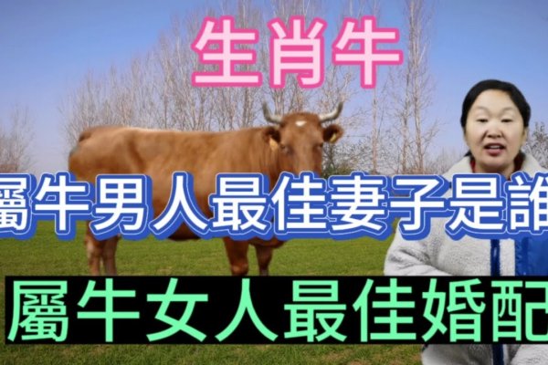 年属牛女动婚最佳时机-红迪亚