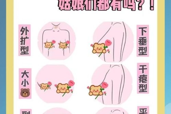 女性胸部与经济状况关联探讨-红迪亚