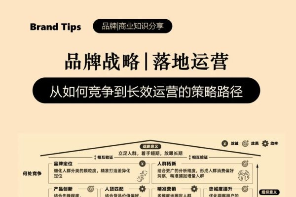 品牌发展策略，以自我认知为起点，市场分析为导向的规划之路。-红迪亚