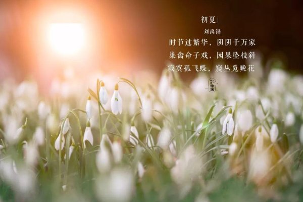 情商高有内涵的网名推荐，，梦里花落知多少。，清风明月心。，静欲沉香。，与君醉笑三千场。，风月斟酒，温情相伴。，云卷云舒，淡然处世。-红迪亚