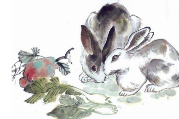 情深似海打一生肖，答案是兔。生肖兔性格心思细密、温和柔顺且感情丰富细腻，符合情深似海的描述。-红迪亚