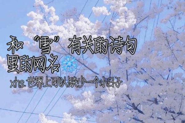 清新淡雅网名精选，雪中画、青栀之美、初露锋芒的优雅之韵-红迪亚