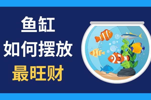 入户门与鱼缸摆放，聚财还是漏财？的风水解析-红迪亚