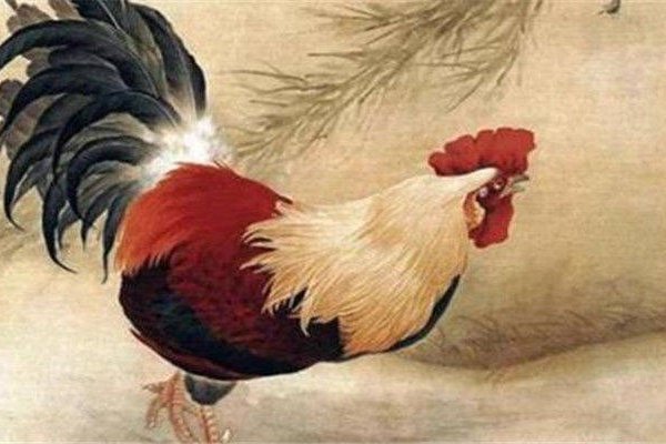 日落西山猜生肖，答案是鸡。-红迪亚