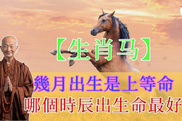 如日中天指生肖马-红迪亚