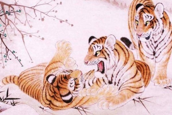 如鱼得水，生肖探秘-红迪亚