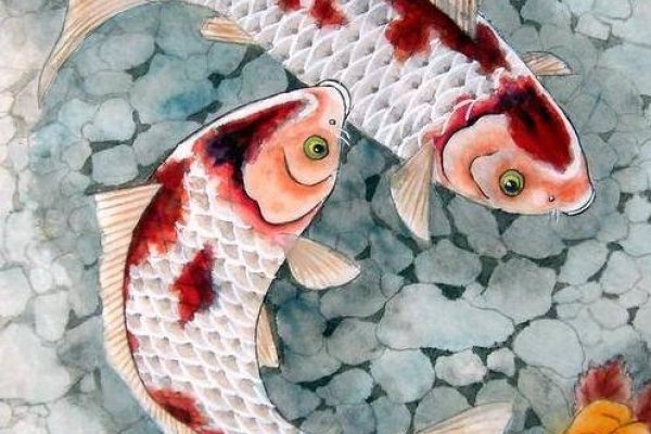 如鱼得水生肖龙或蛇-红迪亚