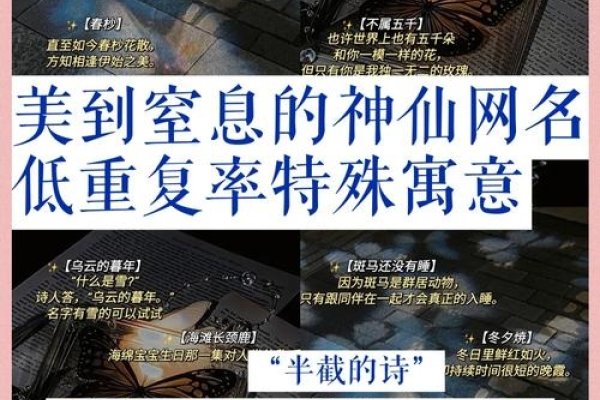 如何取个好网名，名字寓意与个性化建议生成，精选男女长期不换的优质网名推荐及解析-红迪亚