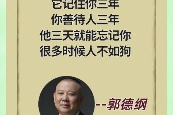 如影随形打一生肖，答案揭晓，狗！忠诚相伴不离弃。-红迪亚