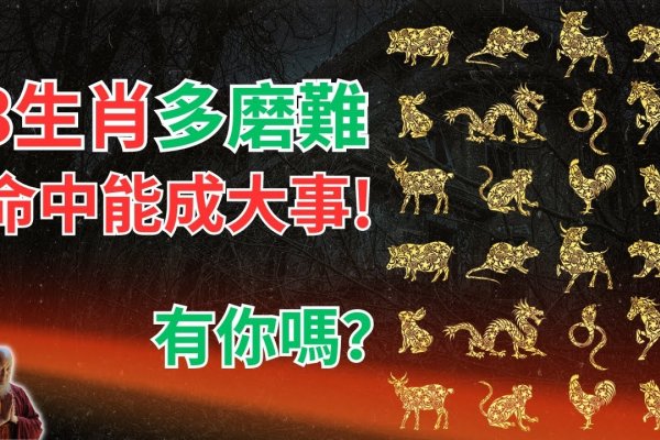 三长两短谜生肖-红迪亚