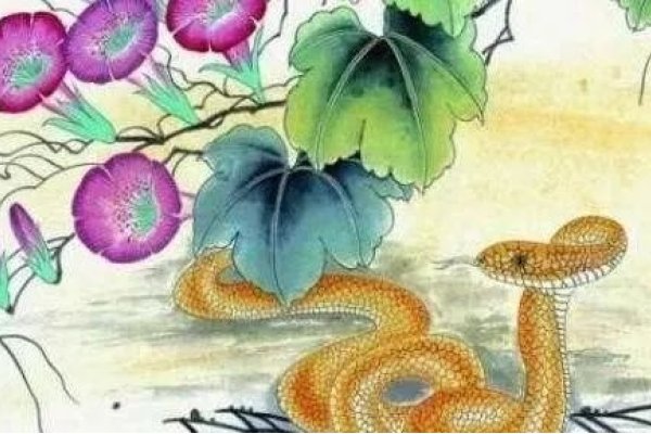 三长两短最佳生肖谜底蛇。-红迪亚