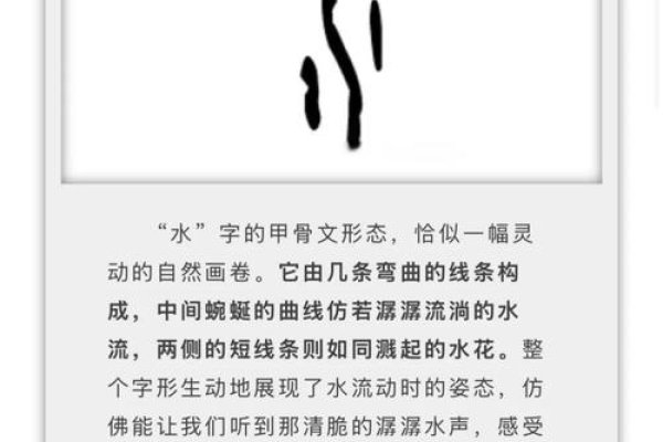 三点水的字，吉祥寓意与百家姓中的水系名，简洁明了，涵盖了文章的主要内容。-红迪亚