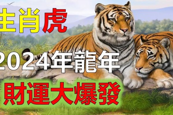 四大生肖虎年运势凶，属虎、蛇、猴猪犯太岁详解-红迪亚