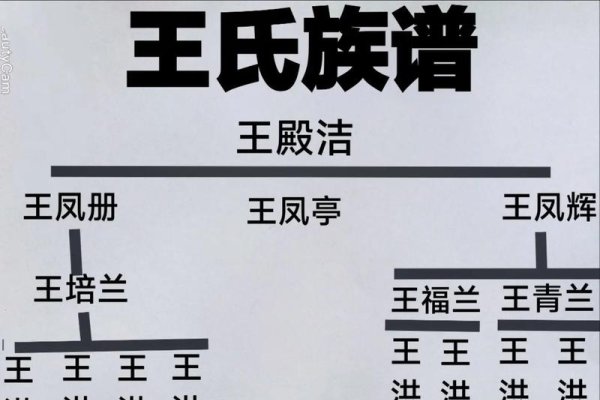 山东王氏族谱探源，字辈排序与家族文化传承-红迪亚