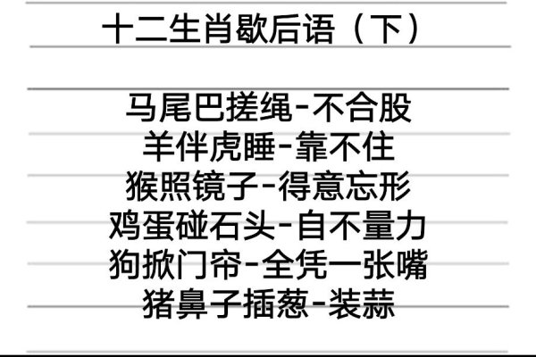 十二生肖歇后语大全-红迪亚