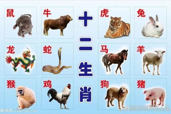 十二生肖排列顺序，鼠、牛、虎、兔、龙、蛇、马、羊、猴、鸡、狗、猪。-红迪亚
